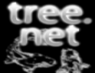 treenetwork Story